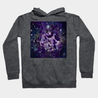 Full Moon Hoodie